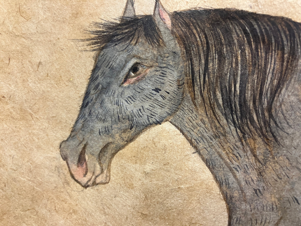 Drawing by Fay Ku titled "Horse II" - 4.
