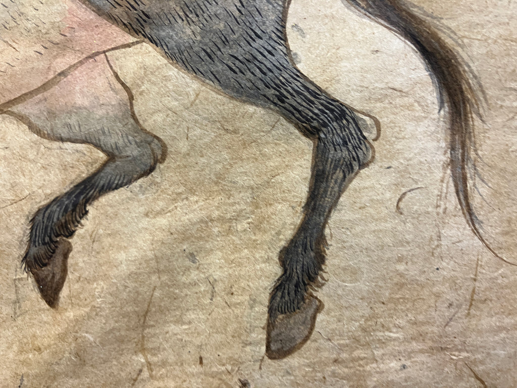 Drawing by Fay Ku titled "Horse II" - 5.