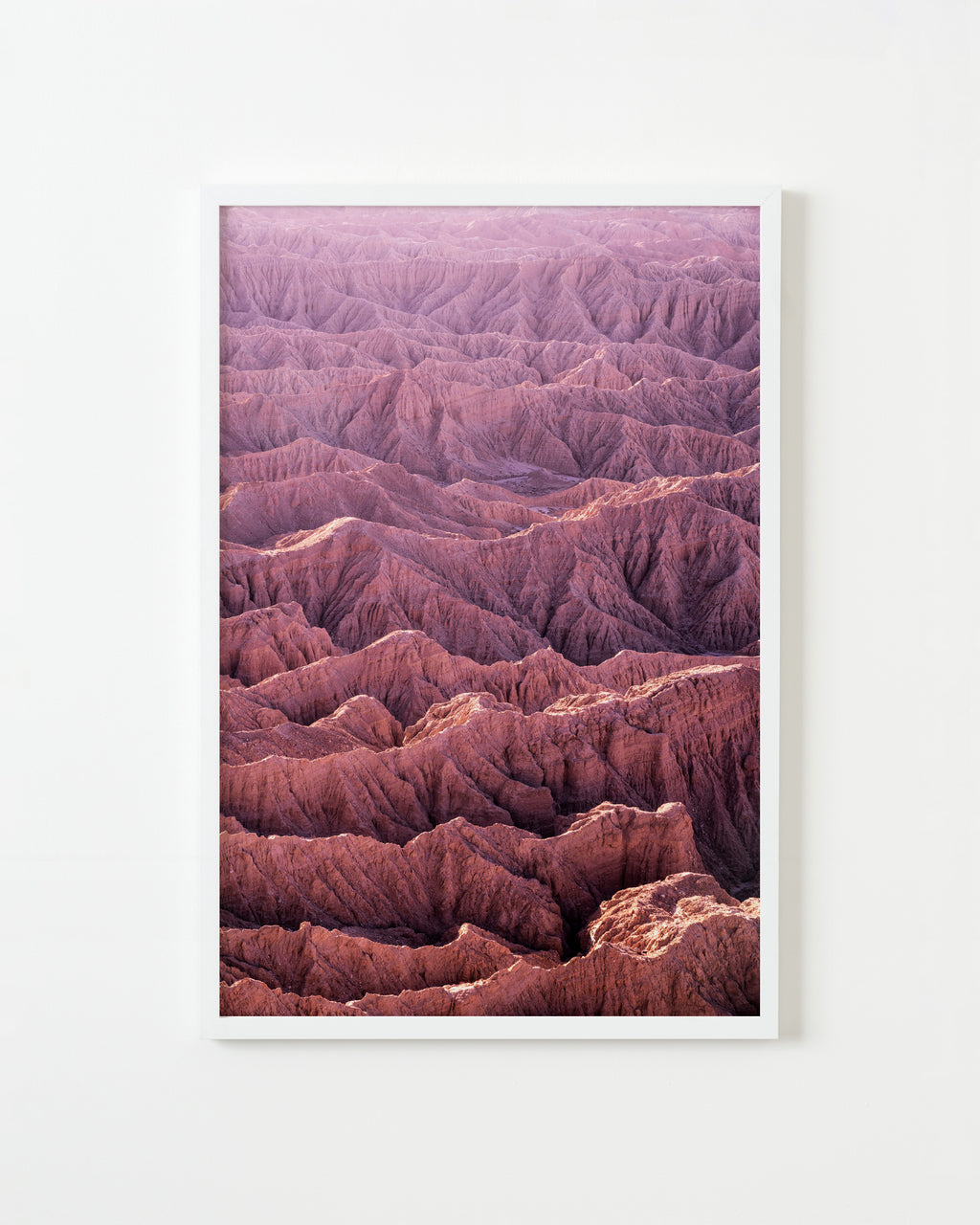Photography by Jessica Haye & Clark Hsiao titled "Anza Borrego" - 1.