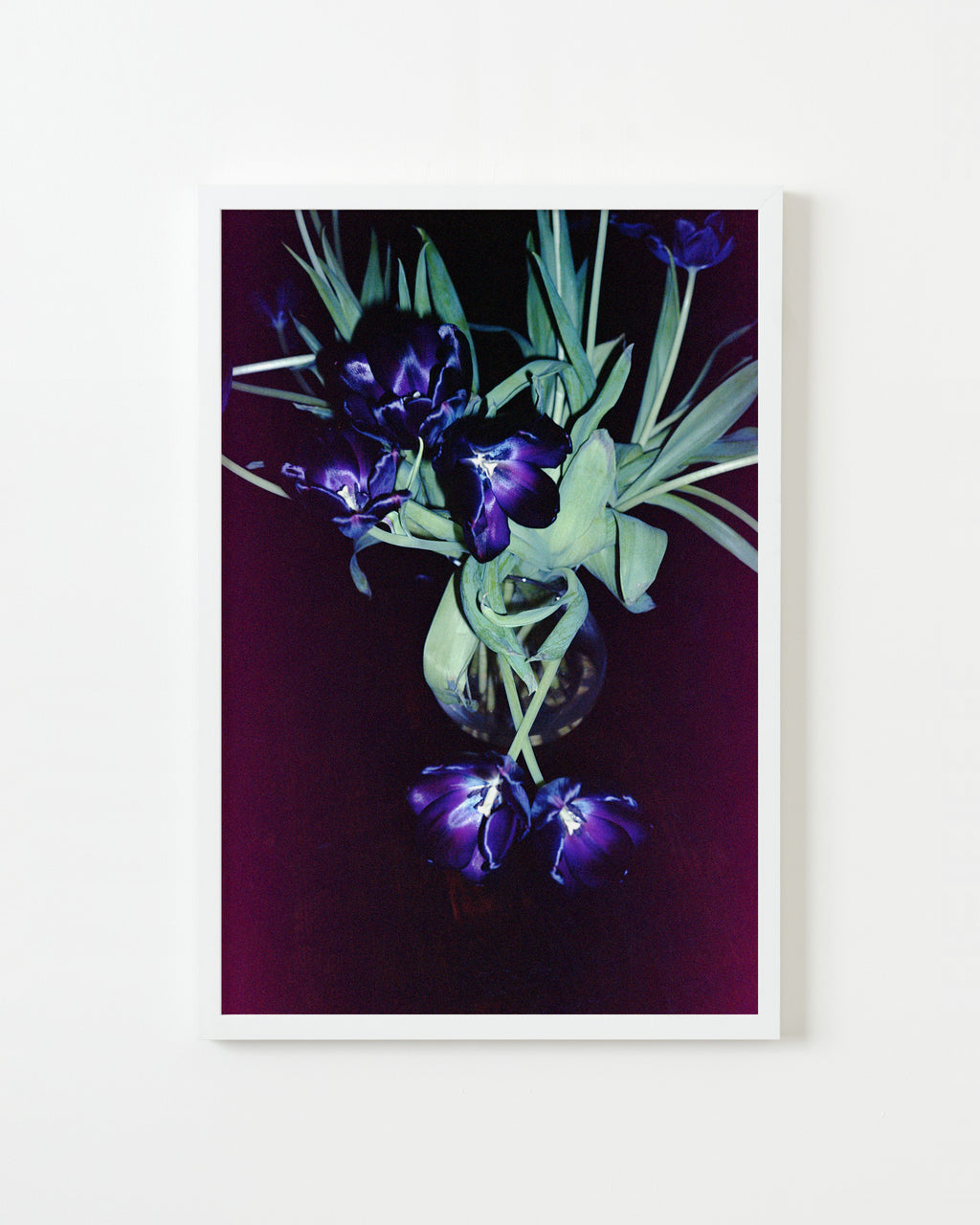 Photography by Jessica Haye & Clark Hsiao titled "Tulips" - 1.