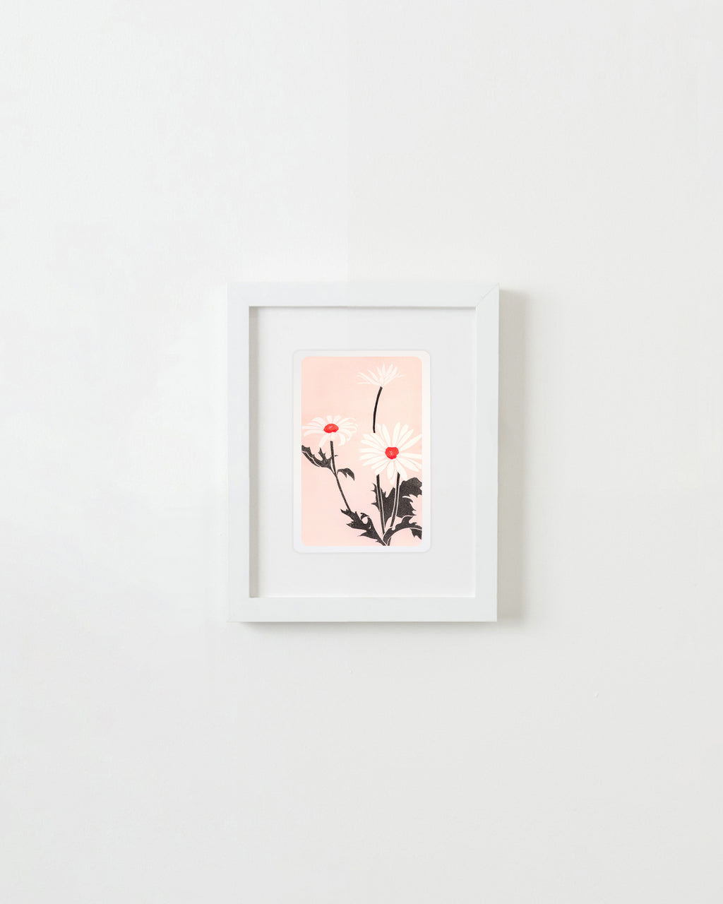 Print by Langdon Graves titled "Daisies (Mourning, red)" - 1.