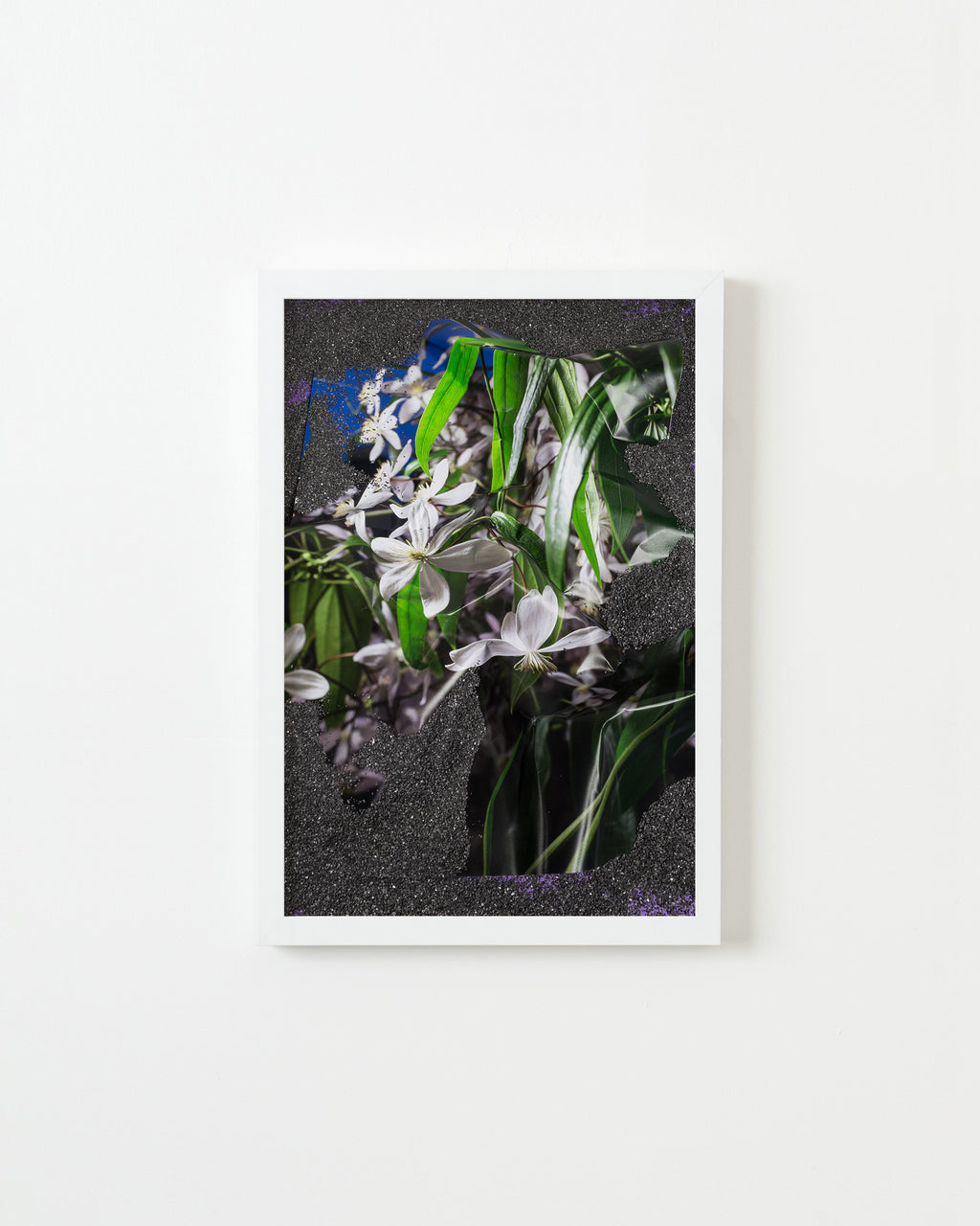 Photography by Teresa Christiansen titled "Buried Blooms" - 1.