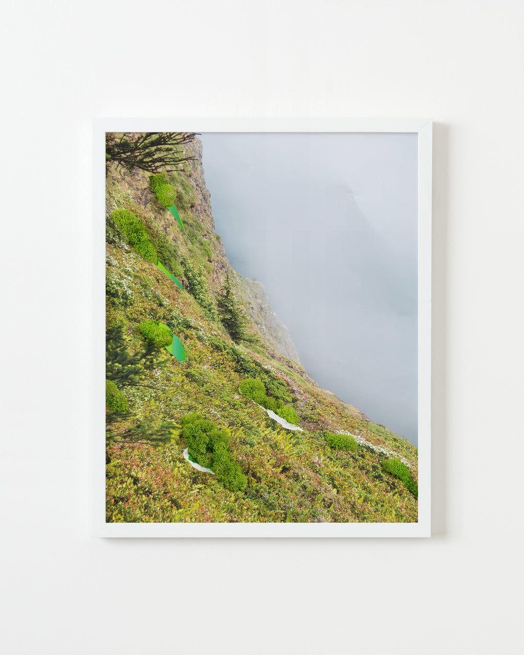 Photography by Teresa Christiansen titled "Landscaping" - 1.