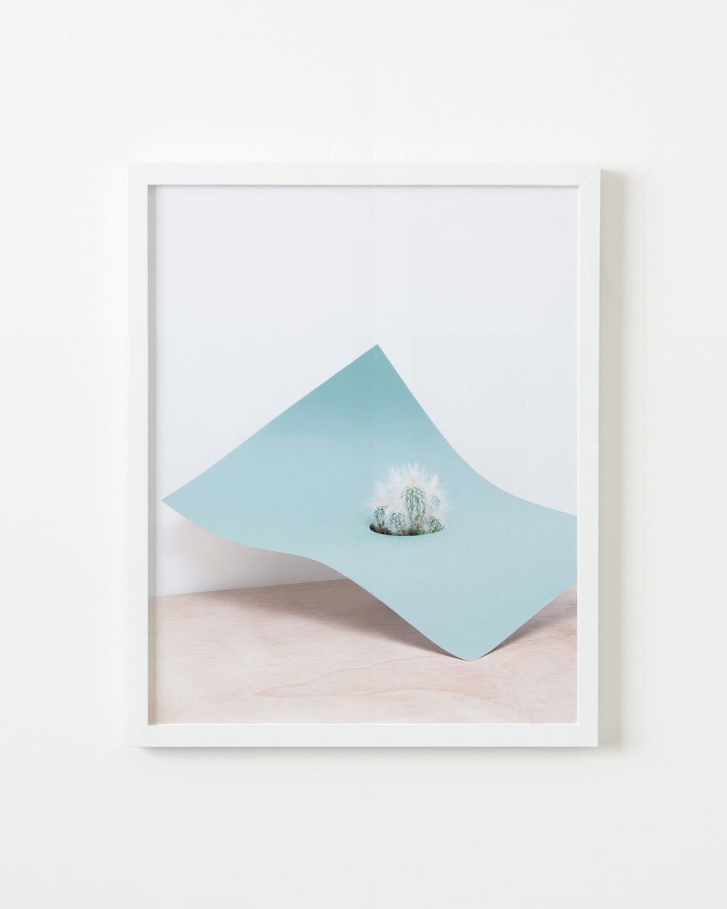 Photography by Martina Lang titled "Plant 01" - 1.