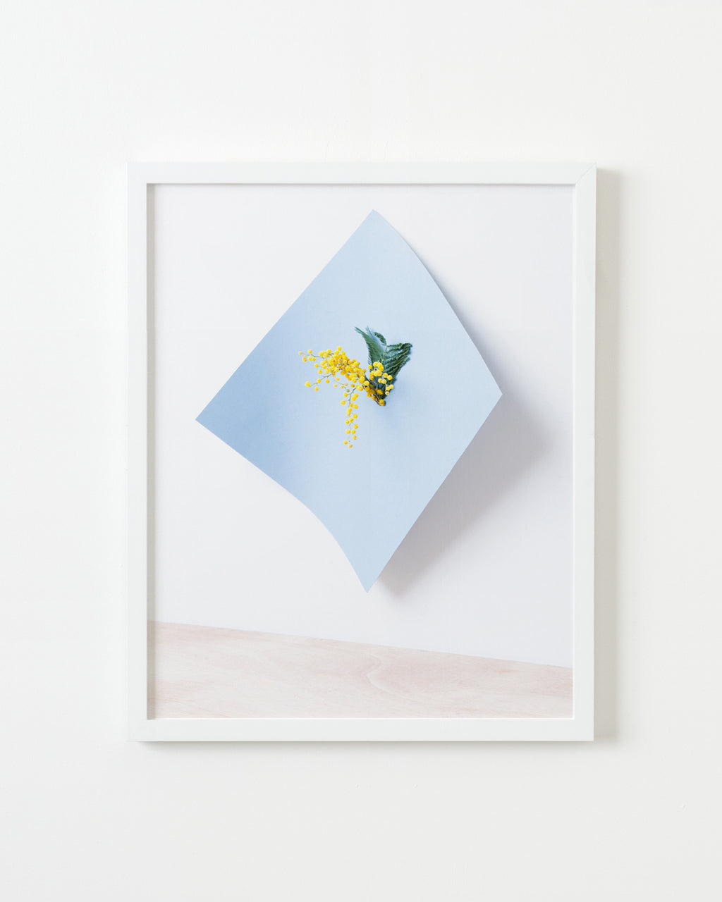 Photography by Martina Lang titled "Plant 02" - 1.