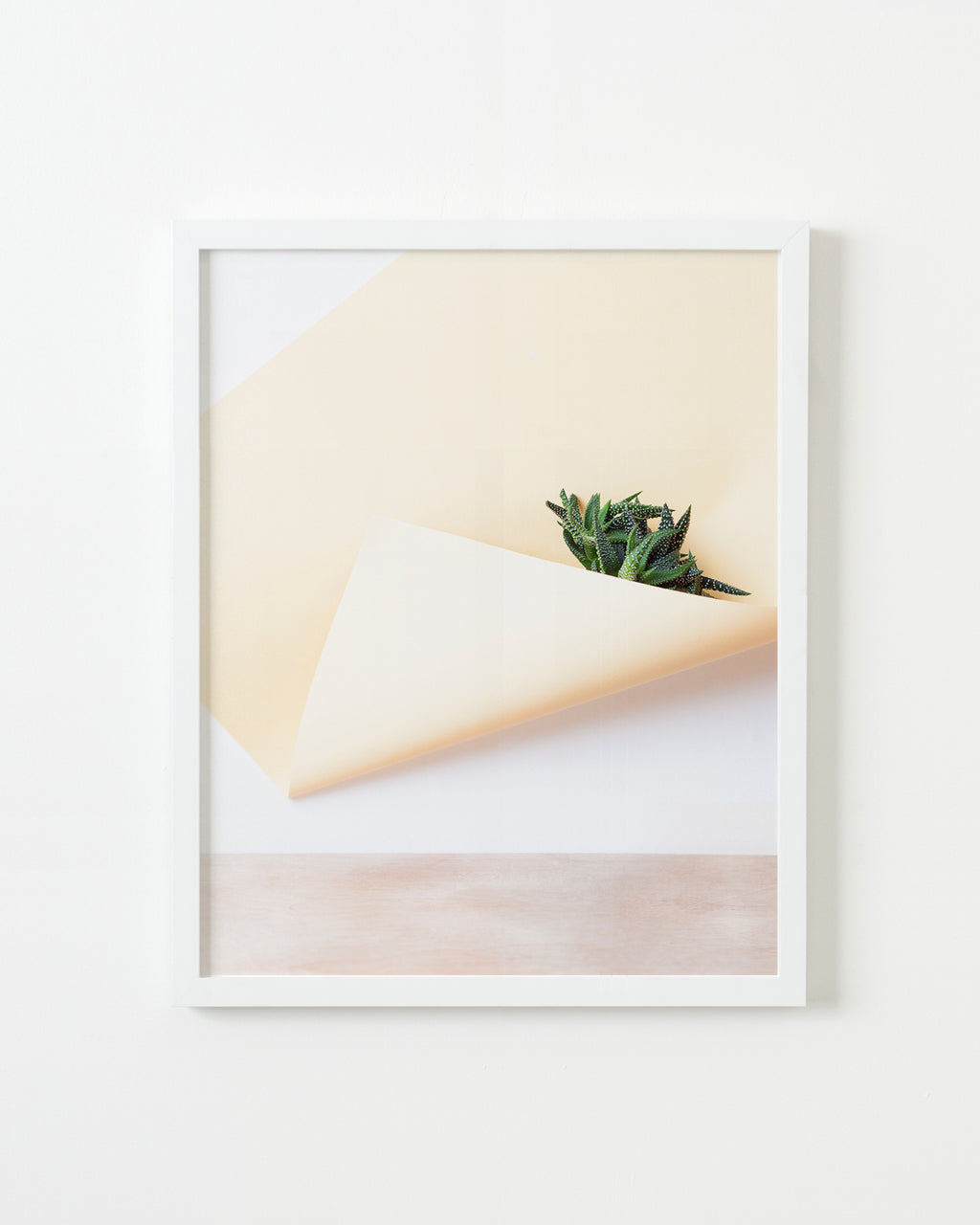 Photography by Martina Lang titled "Plant 03" - 1.
