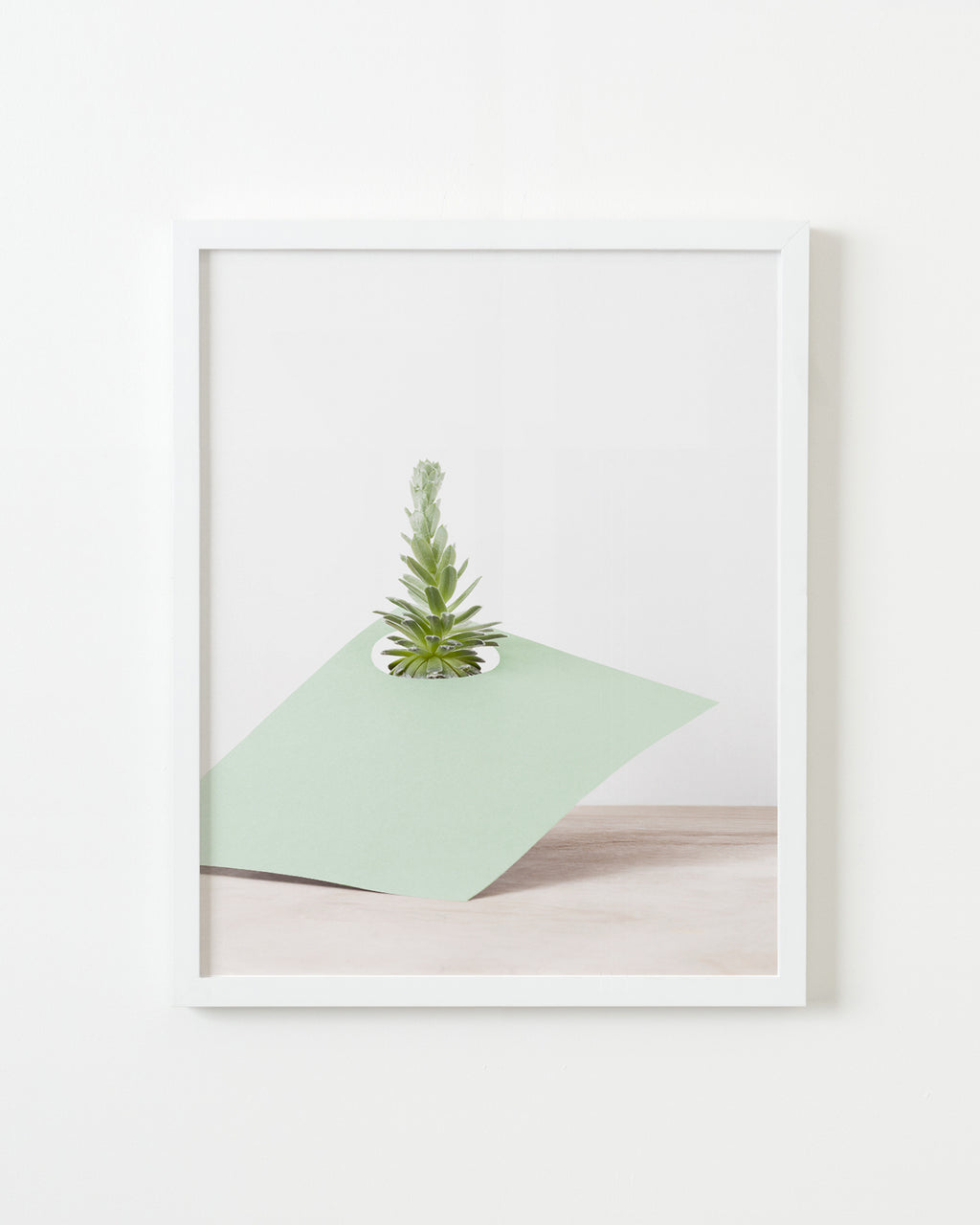 Photography by Martina Lang titled "Plant 04" - 1.