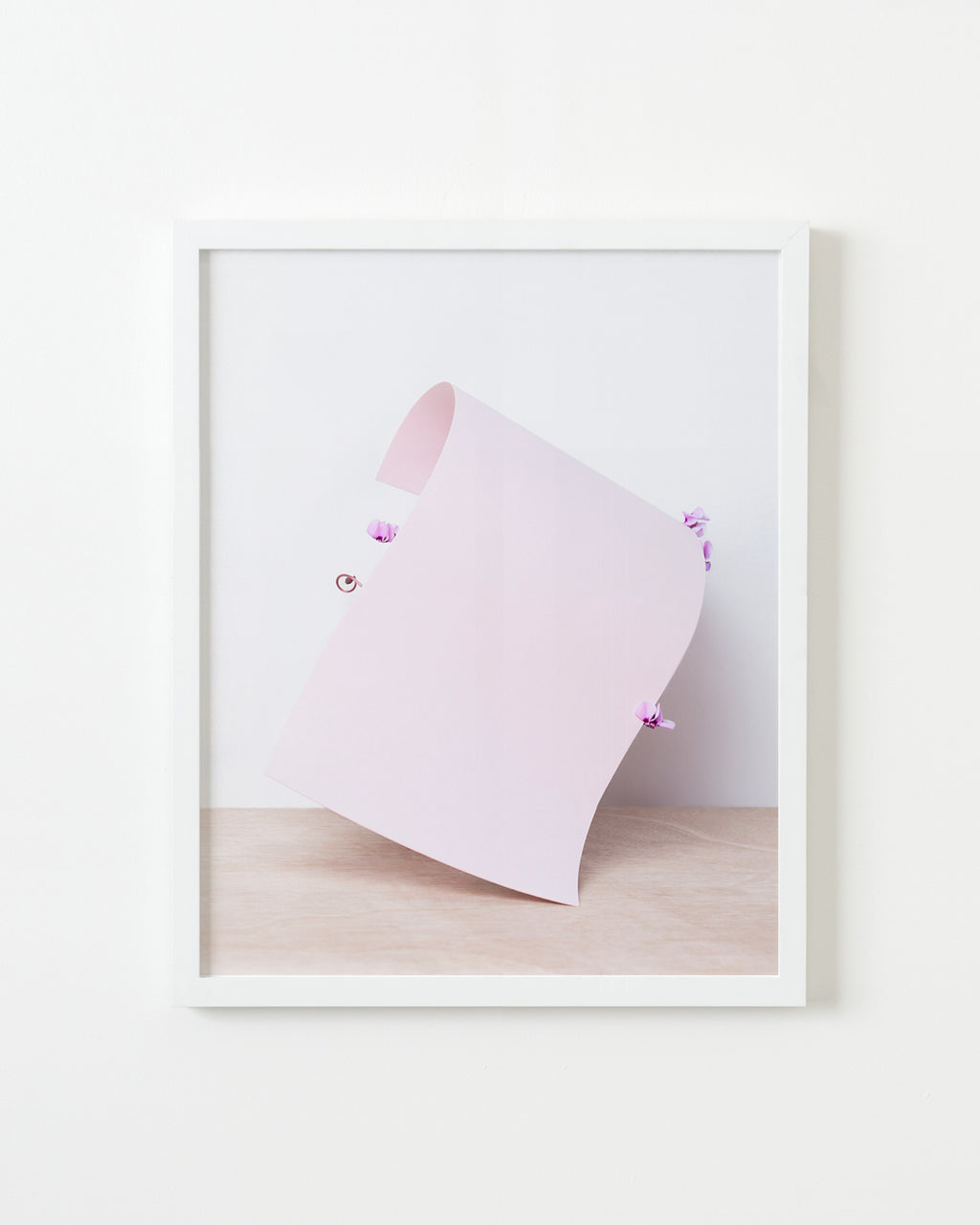 Photography by Martina Lang titled "Plant 05" - 1.