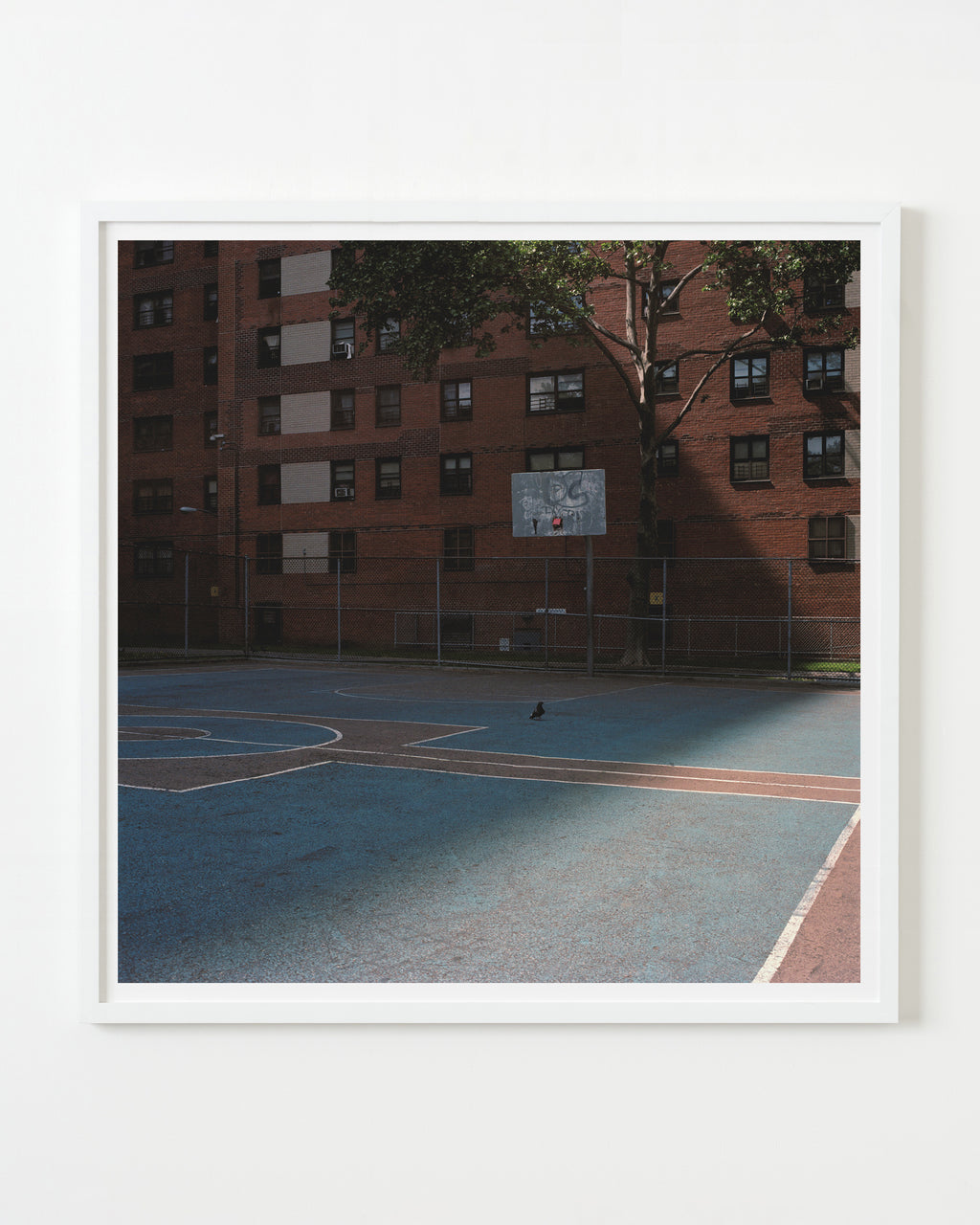Photography by Ward Roberts titled "court 21 - new york 2012" - 1.