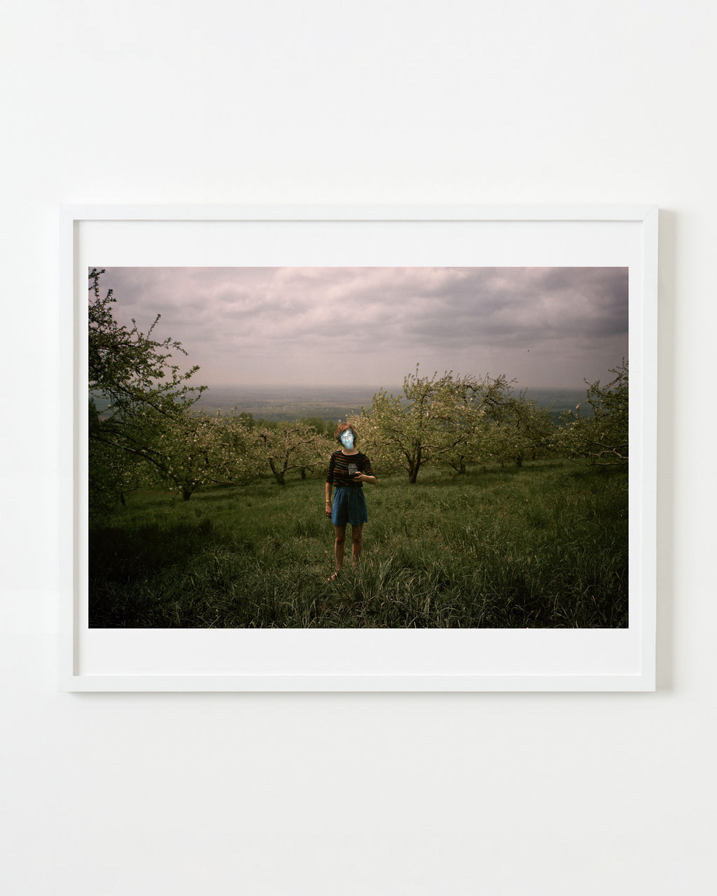 Photography by Michael Northrup titled "Orchard Glow" - 1.