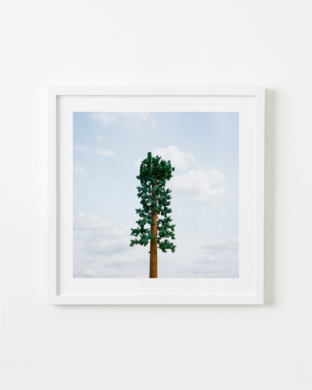 Photography by Sinziana Velicescu titled "Bakersfield, CA" - 1.