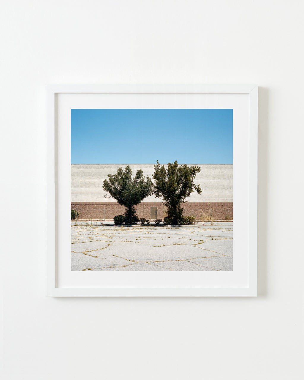 Photography by Sinziana Velicescu titled "Bakersfield, CA" - 1.