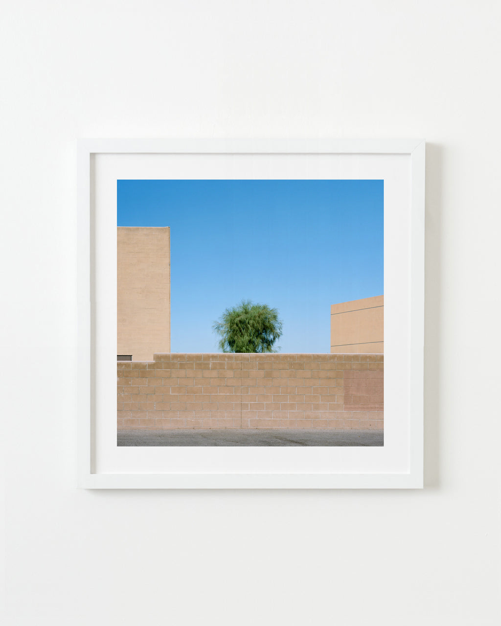 Photography by Sinziana Velicescu titled "Indio, CA" - 1.