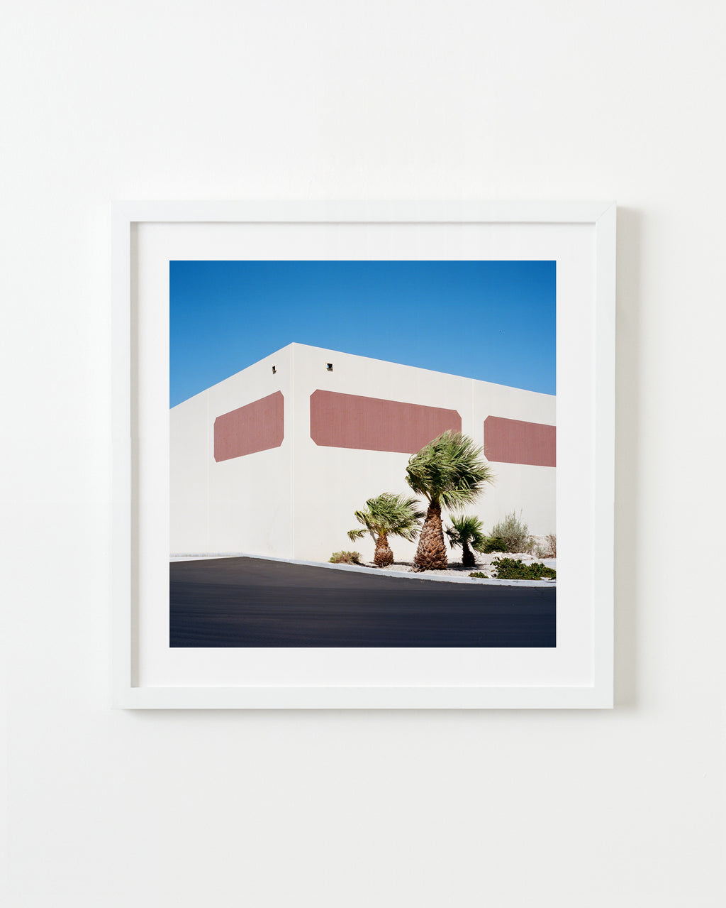 Photography by Sinziana Velicescu titled "Palm Desert, CA" - 1.