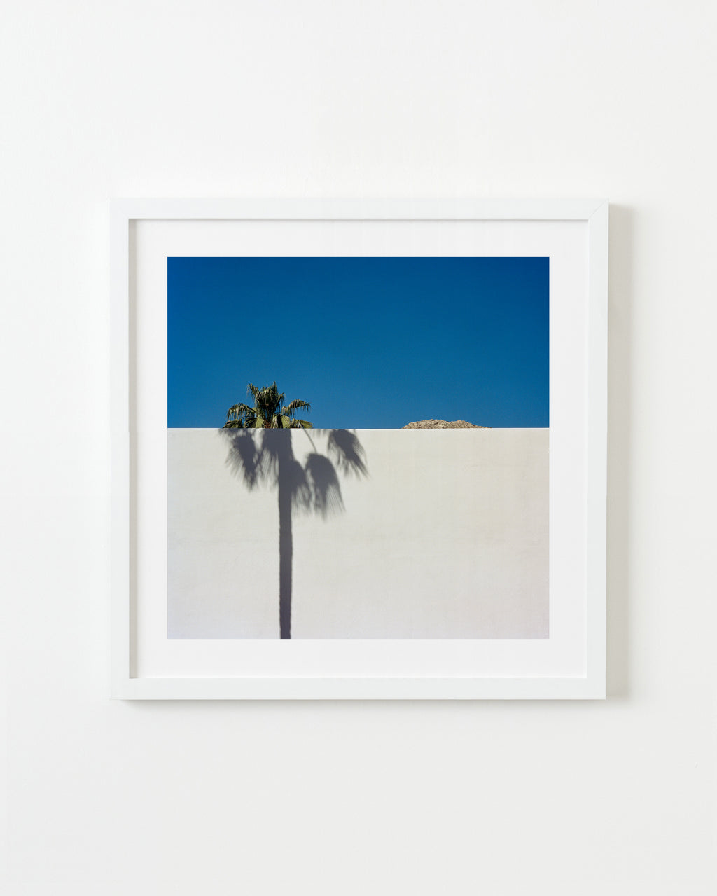 Photography by Sinziana Velicescu titled "Palm Springs, CA" - 1.