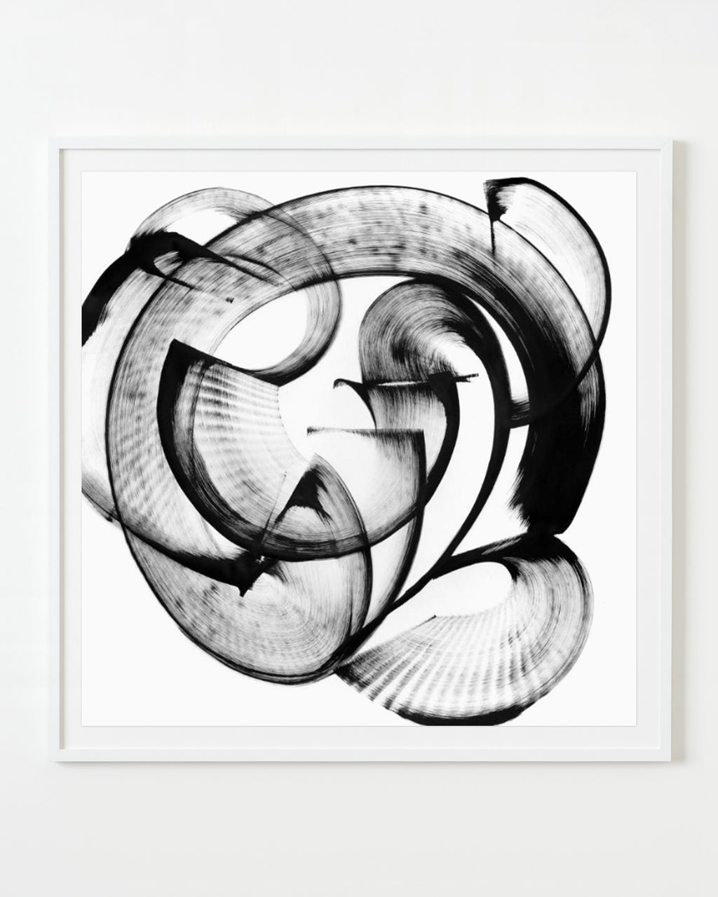 Painting by Thomas Hammer titled "Cyanea giffardii" - 1.