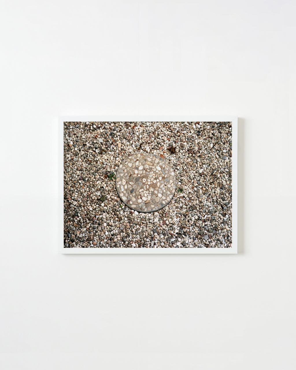 Photography by Ryan James MacFarland titled "Adept, Adapt" - 1.