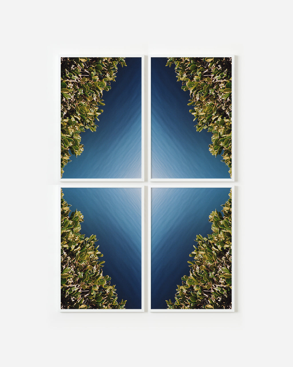 Hedge Diamond #1 - Ryan James MacFarland