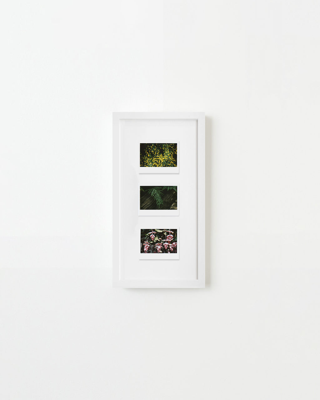 Photography by Ryan James MacFarland titled "Sketchbook (Trio #1)" - 1.