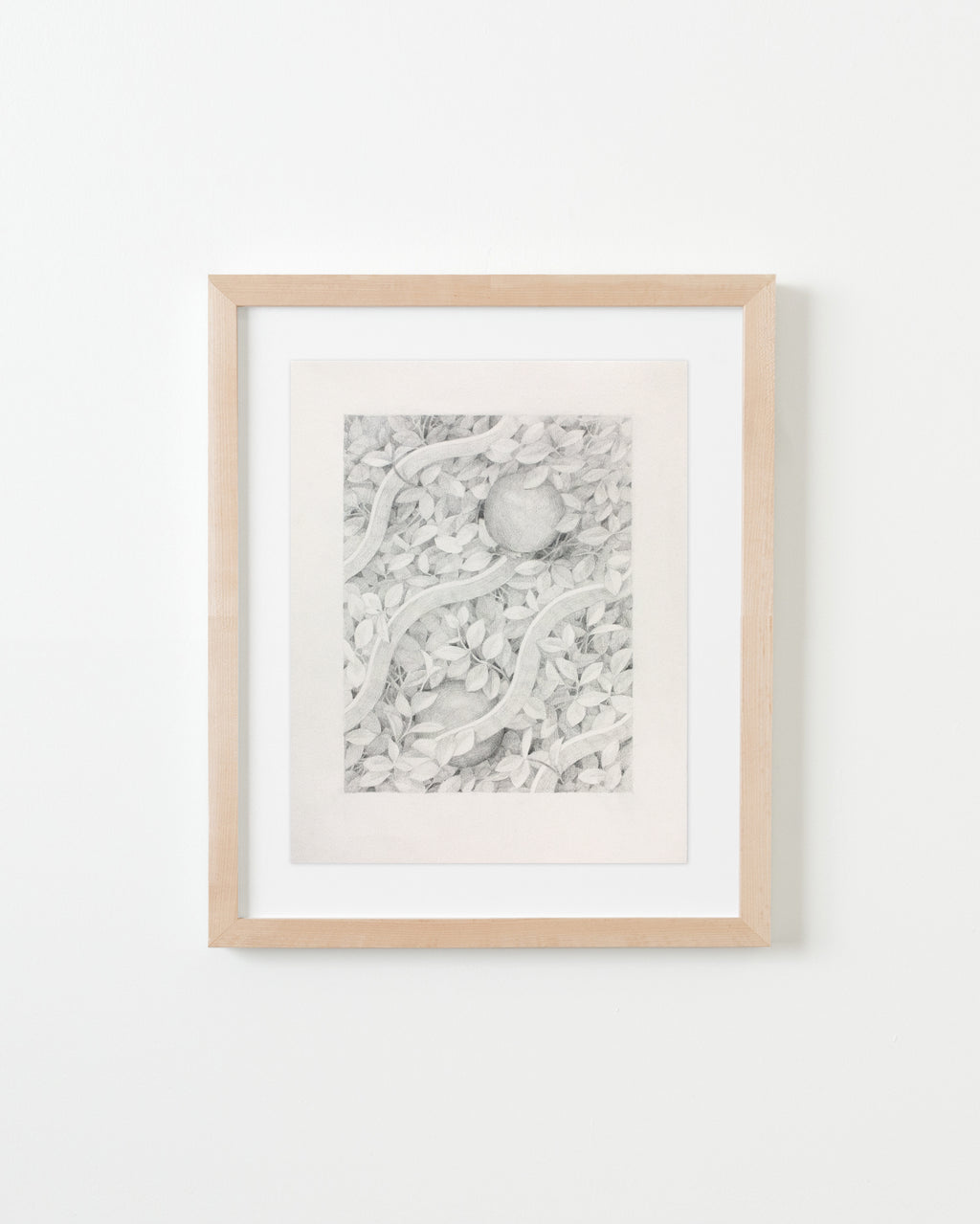 Drawing by Lucia Rodriguez Perez titled "Untitled (two pomegranates)" - 1.