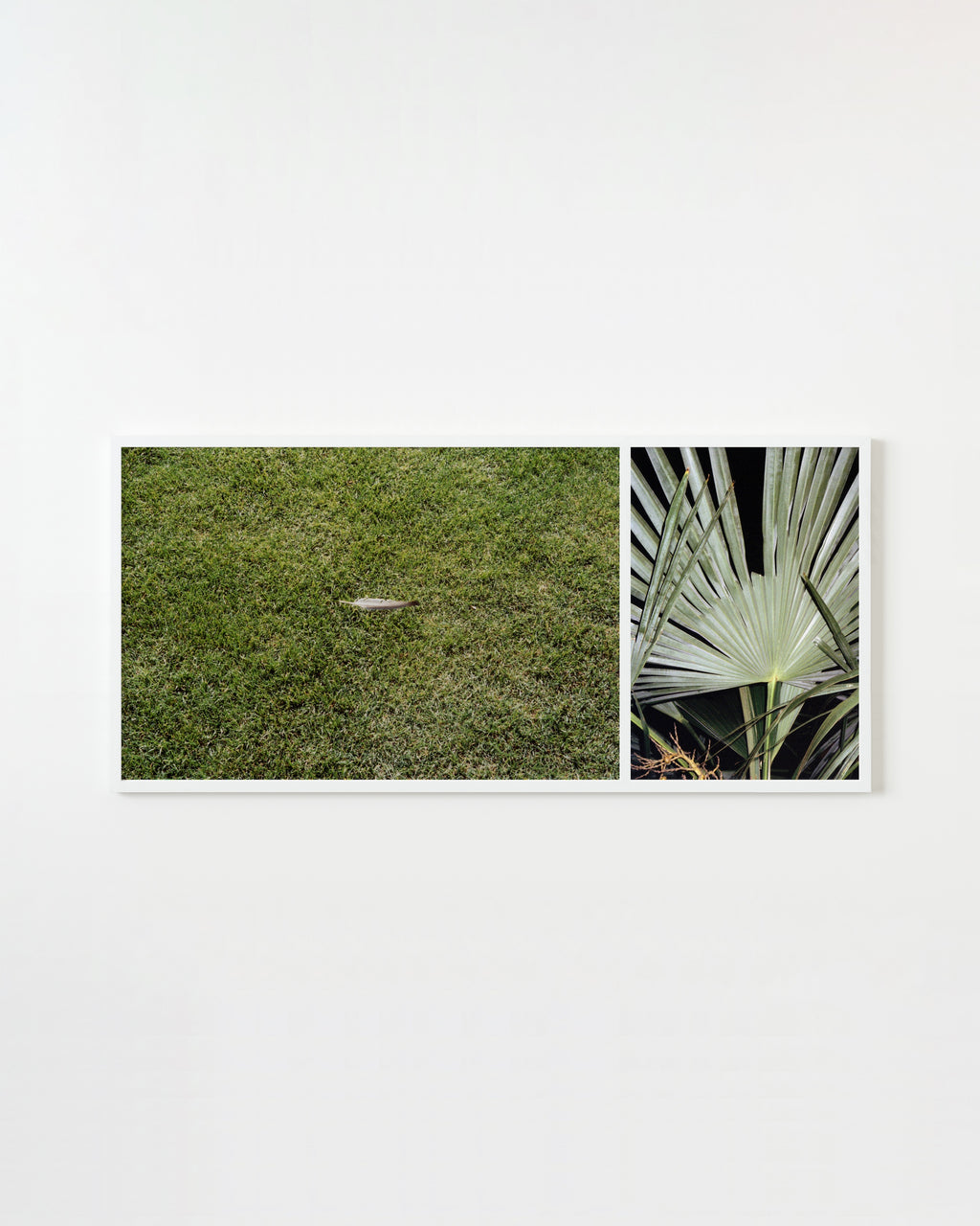 Photography by Ryan James MacFarland titled "Seclusion & Seduction" - 1.