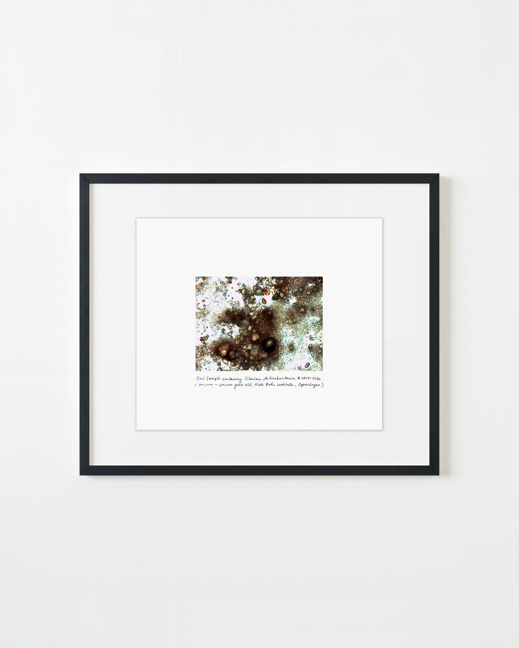 Photography by Rachel Sussman titled "Siberian Actinobacteria #0807-tV26 (400,000 - 600,000 years old; Niels Bohr Inst" - 1.