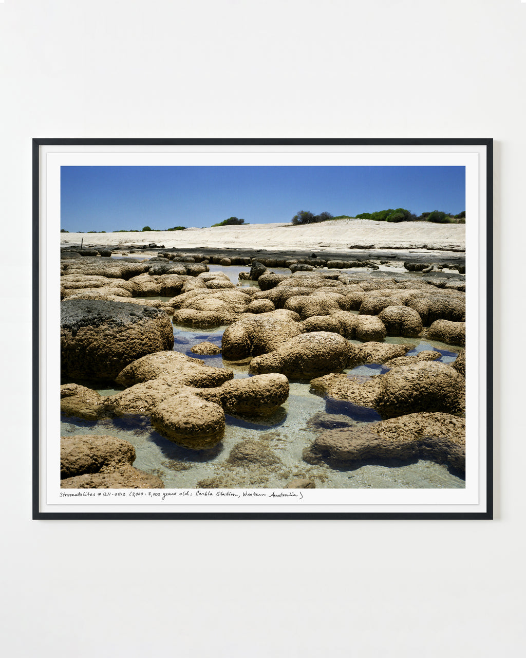 Photography by Rachel Sussman titled "Stromatolites #1211-0316 (2,000 - 3,000 years old; Carbla Station, Western Austr" - 1.