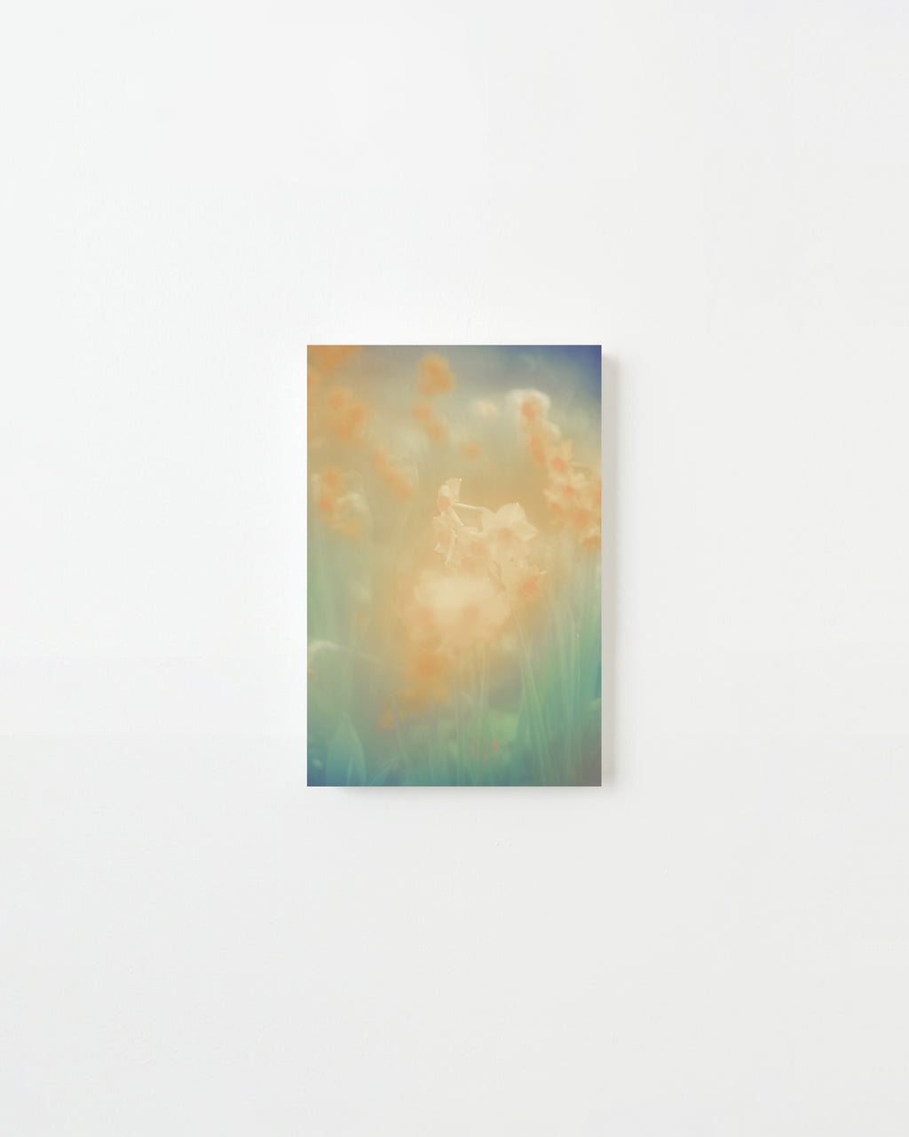 Photography by Jordan Sullivan titled "The Autumns of Spring 4" - 3.