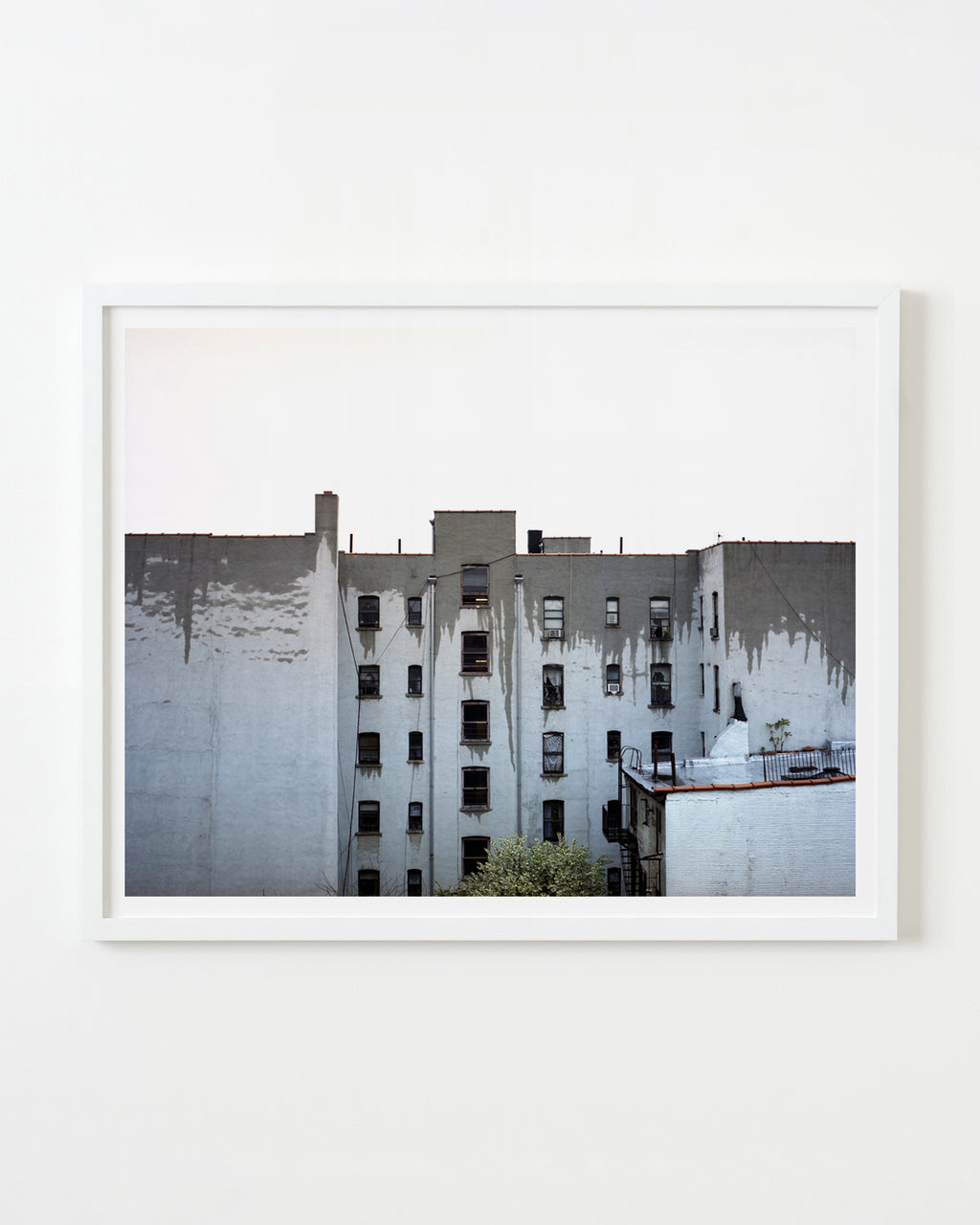 Photography by Nick Meyer titled "View from Luke and India's" - 1.