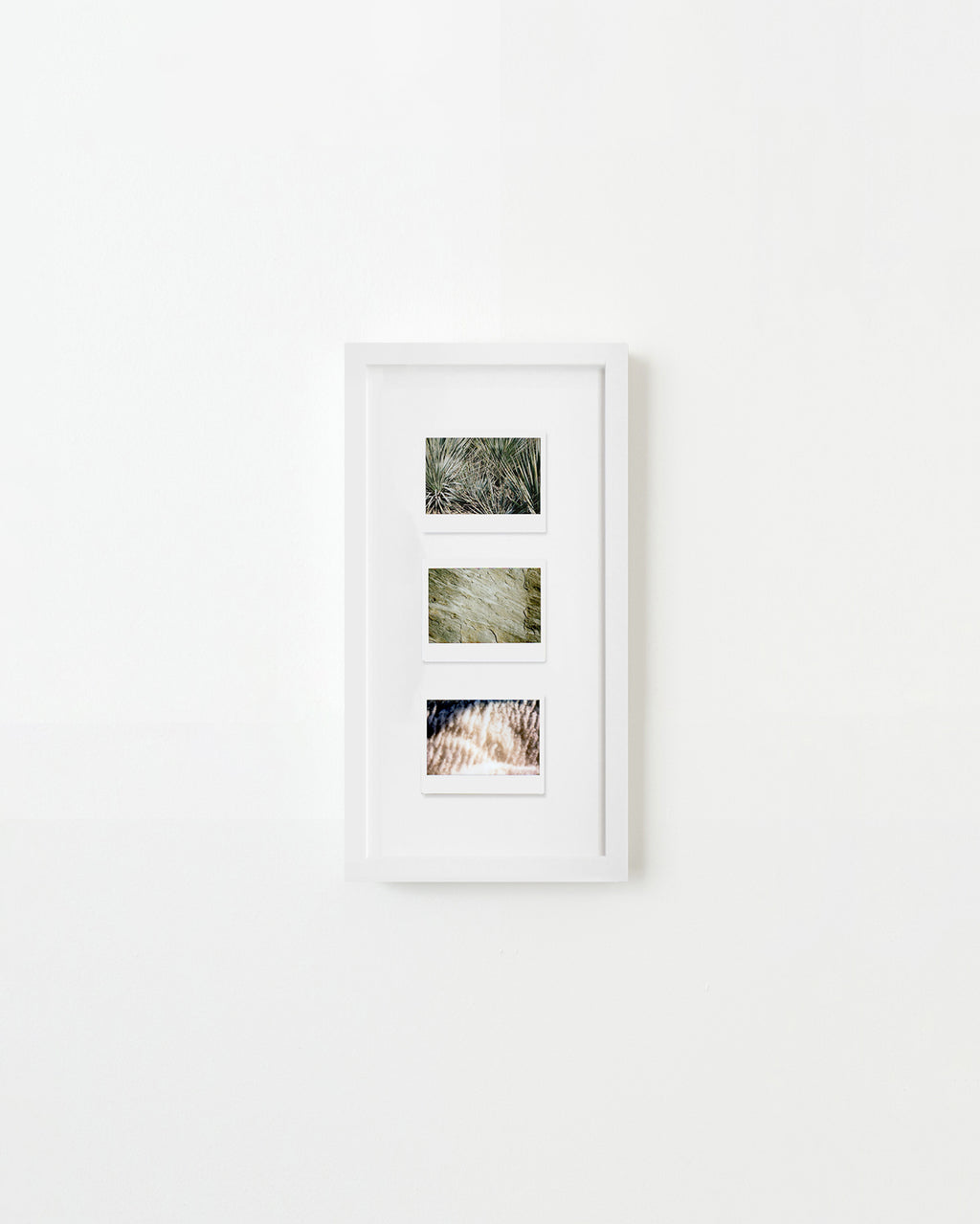 Photography by Ryan James MacFarland titled "Sketchbook (Trio #6)" - 1.