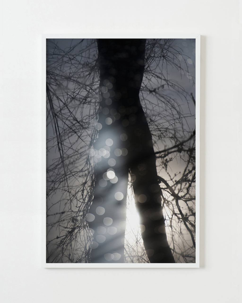Photography by Jessica Haye & Clark Hsiao titled "Sebastopol I" - 1.