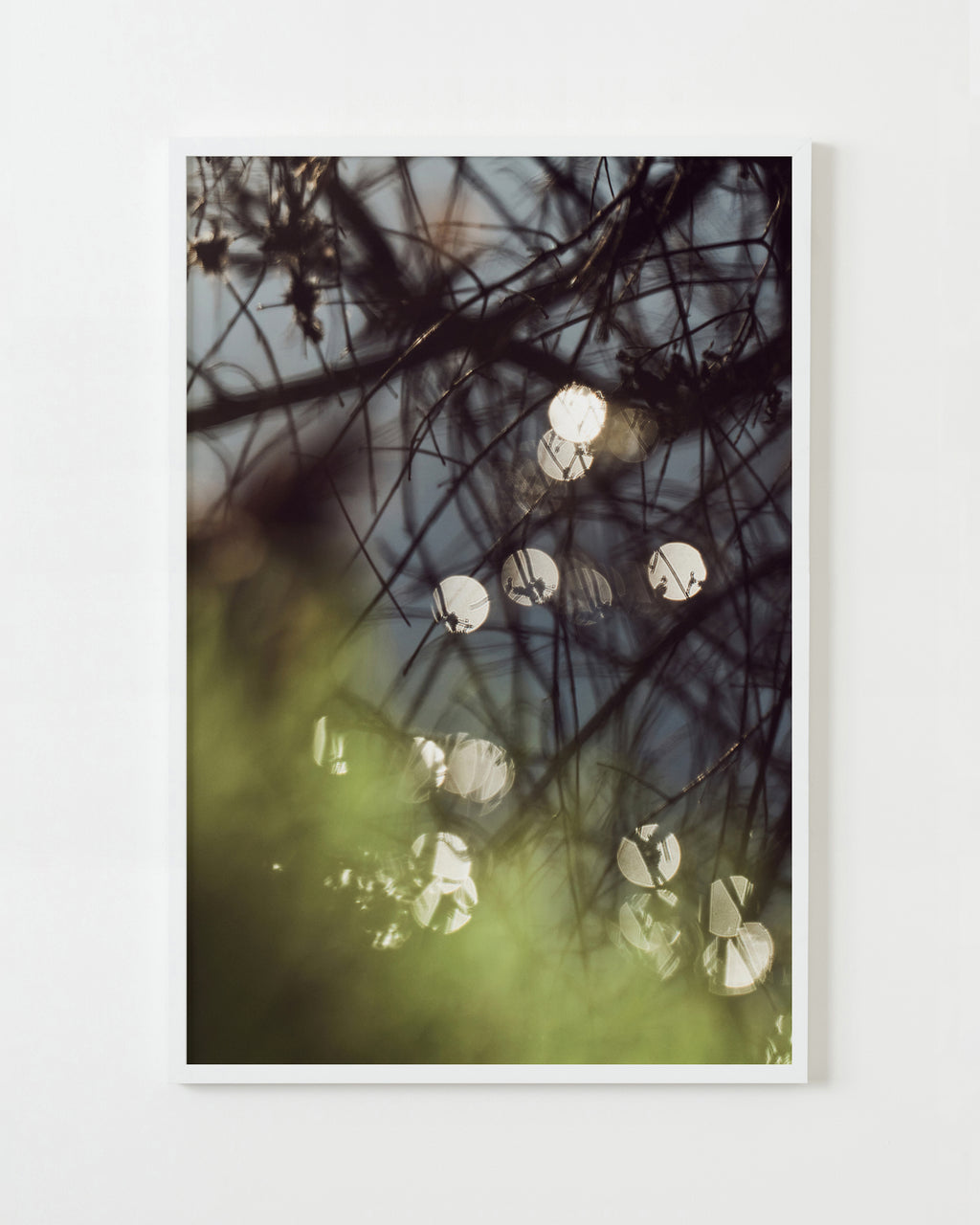 Photography by Jessica Haye & Clark Hsiao titled "Sonoma I" - 1.