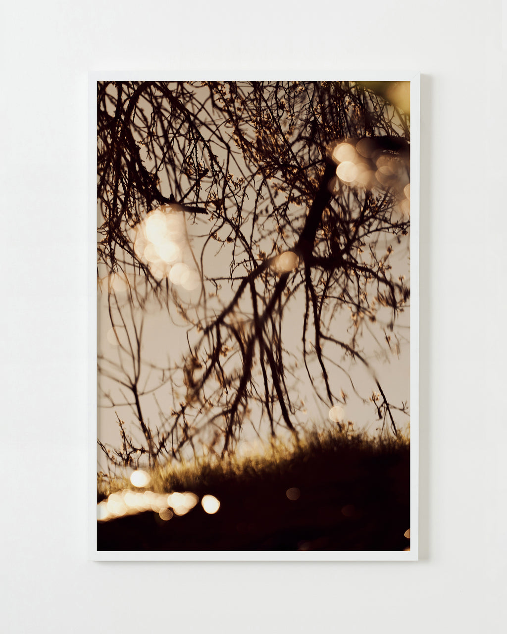 Photography by Jessica Haye & Clark Hsiao titled "Sonoma III" - 1.