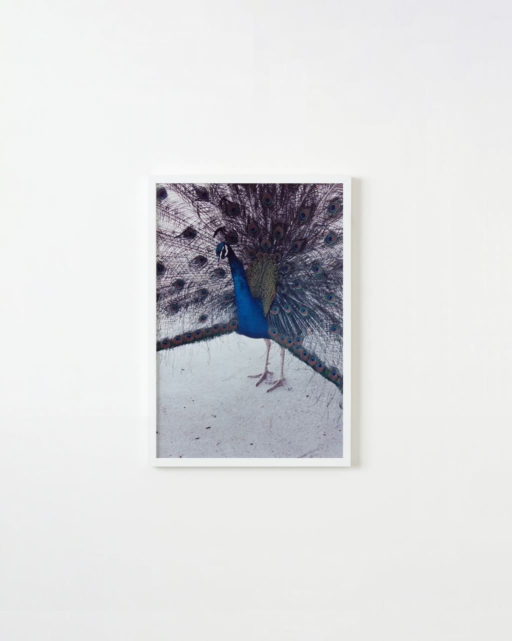 Photography by Ryan James MacFarland titled "Untitled 4" - 1.
