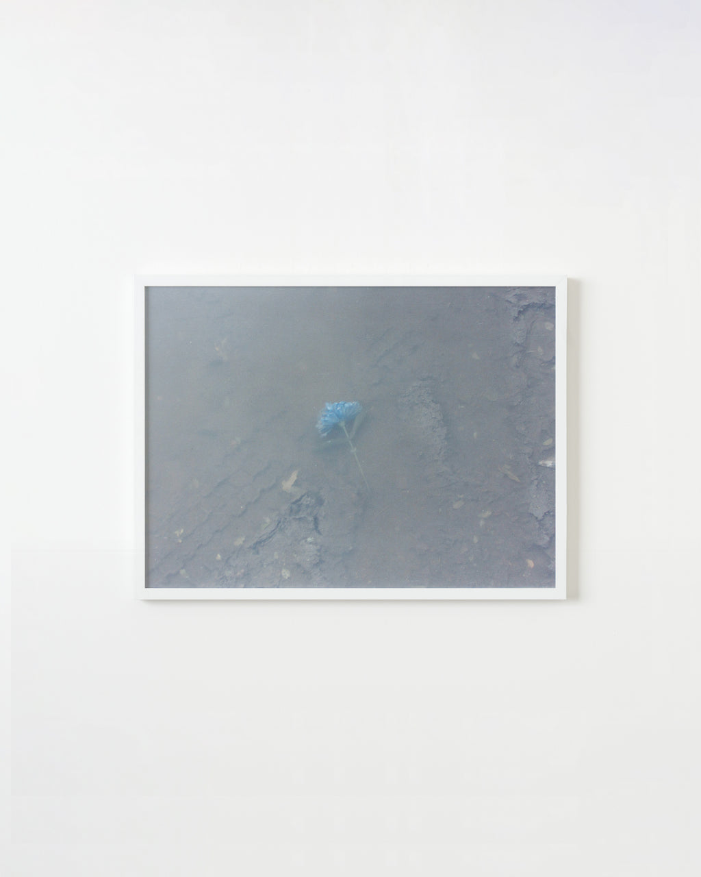 Photography by Ryan James MacFarland titled "Untitled 11" - 1.