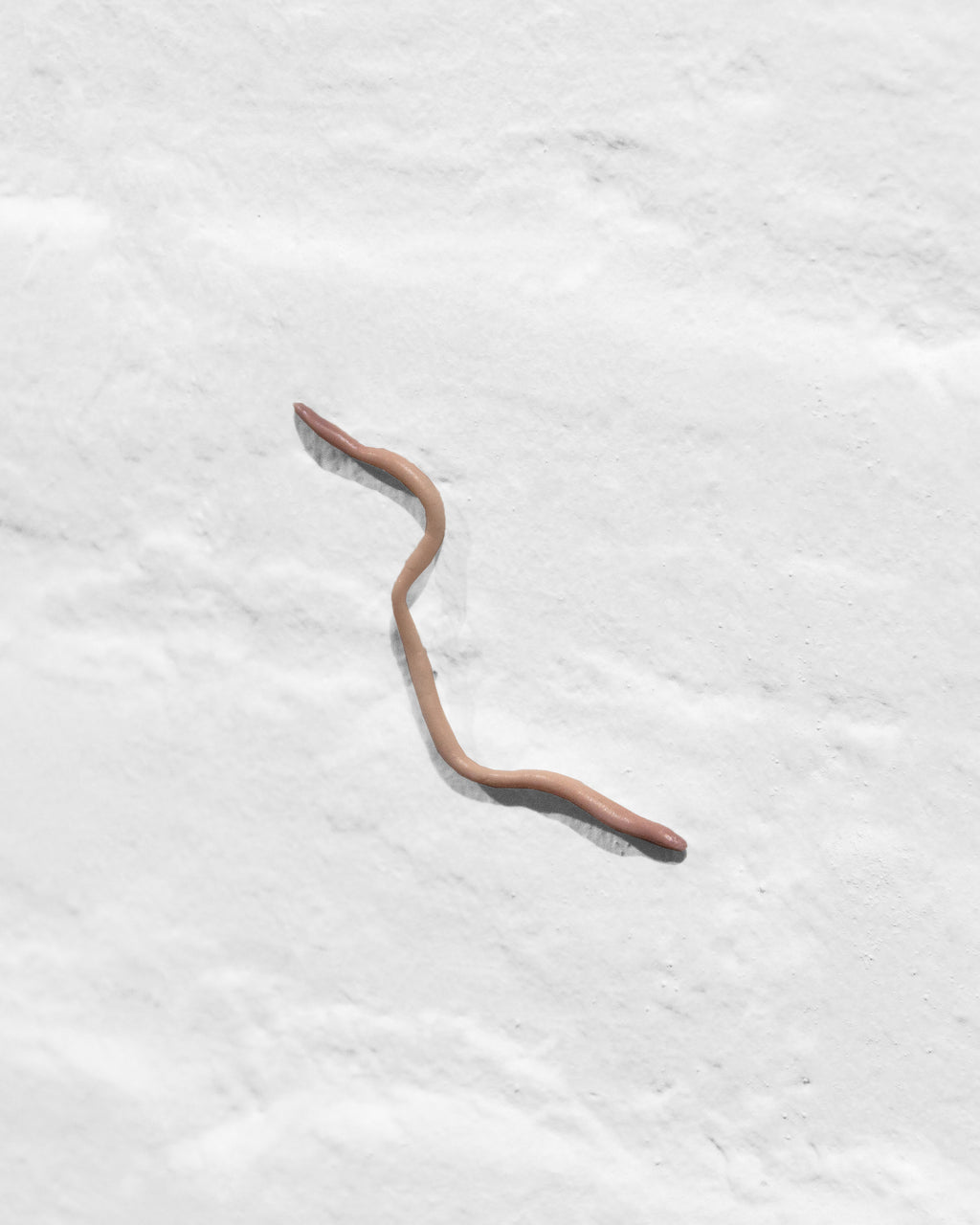 Nightcrawler - Langdon Graves