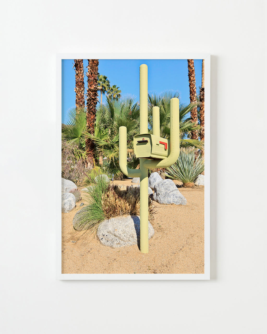 Photography by Dolly Faibyshev titled "Cactus Mailbox" - 1.