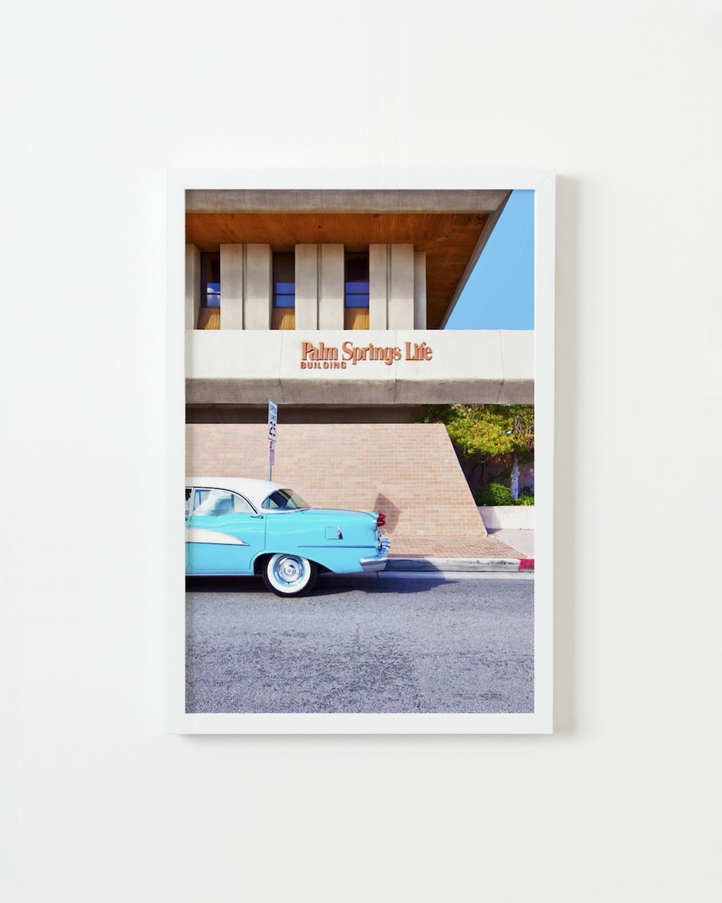 Photography by Dolly Faibyshev titled "Palm Springs Life" - 1.