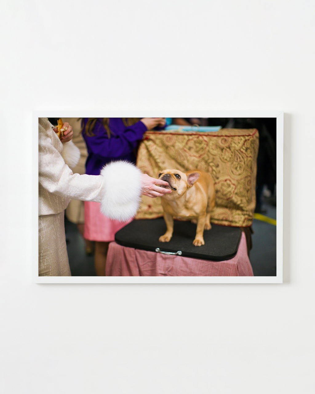 Photography by Dolly Faibyshev titled "Frenchie and Fur #2" - 1.
