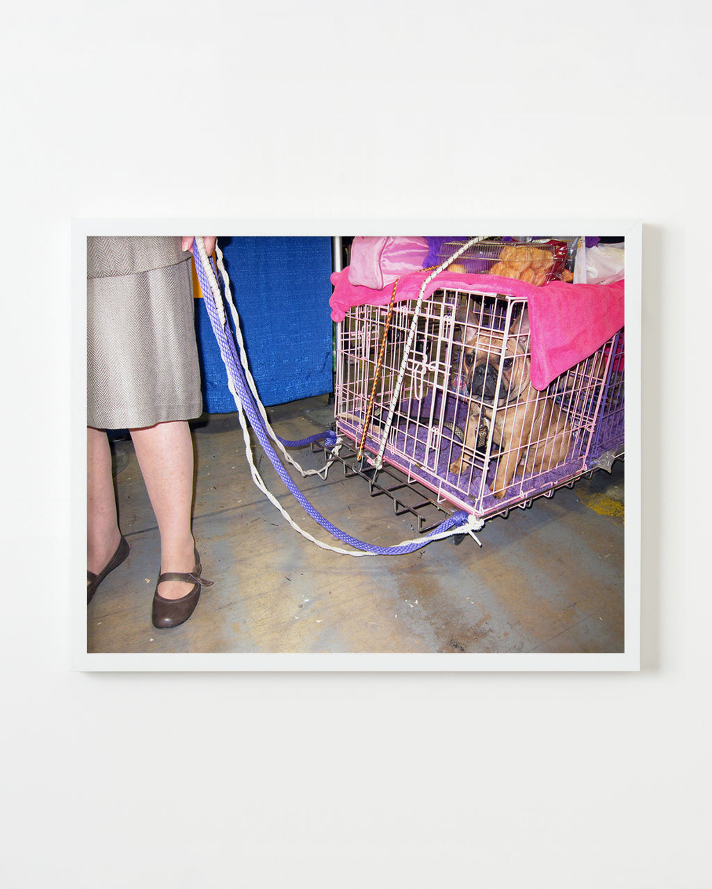Photography by Dolly Faibyshev titled "Frenchie Goes Home" - 1.