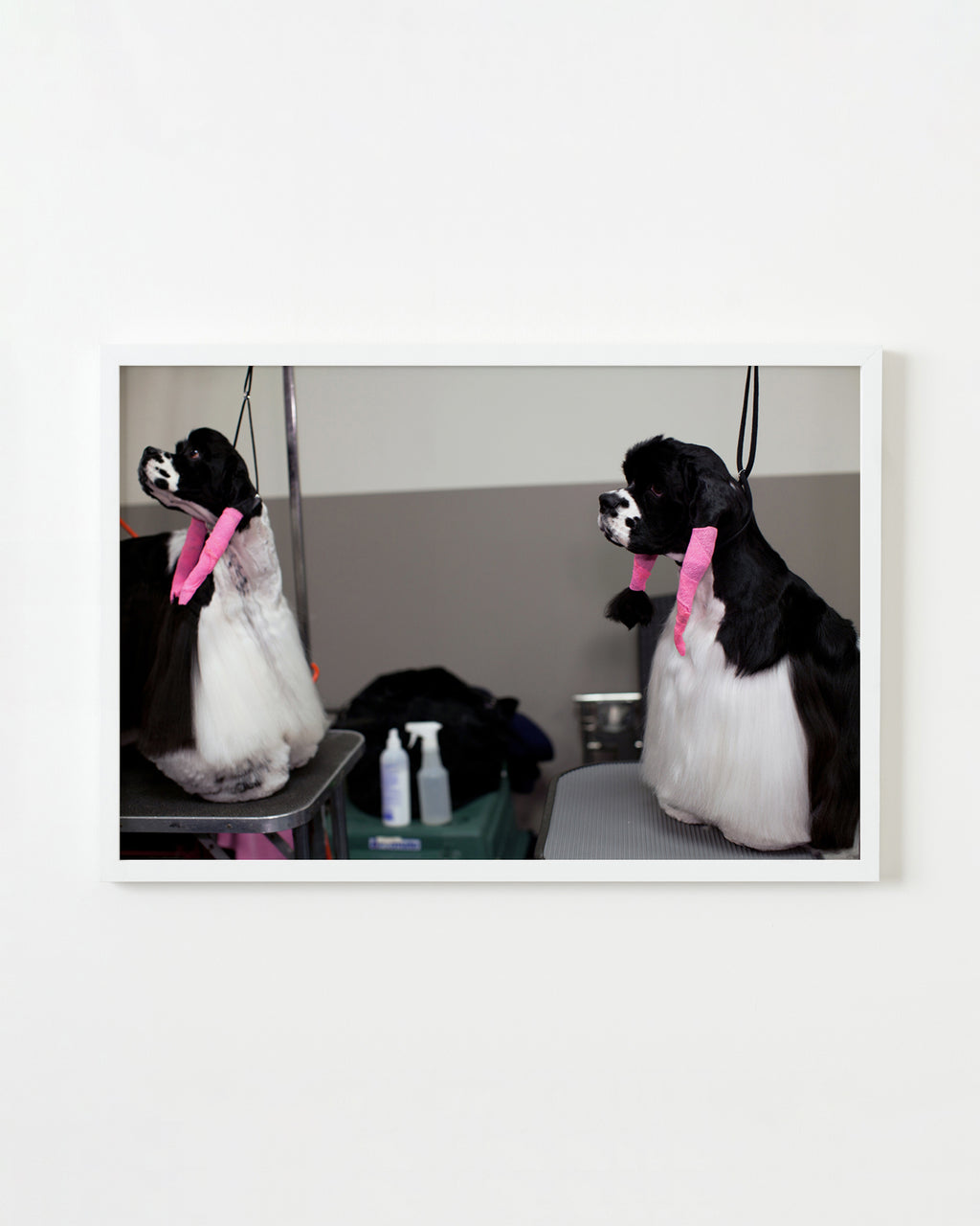 Photography by Dolly Faibyshev titled "Salon" - 1.