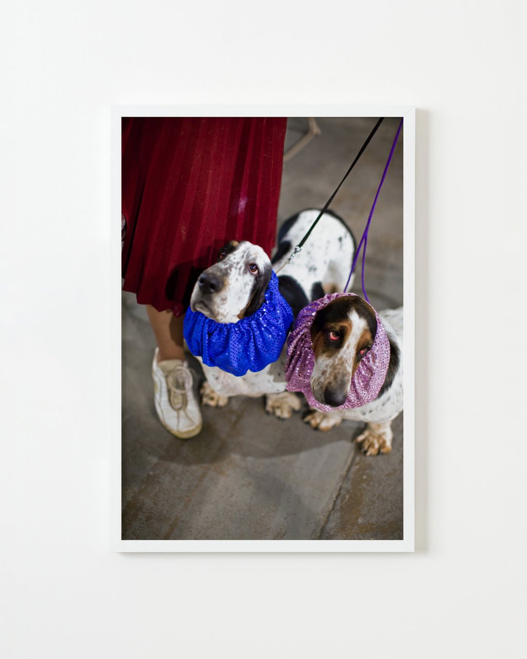 Photography by Dolly Faibyshev titled "Two Basset Hounds" - 1.
