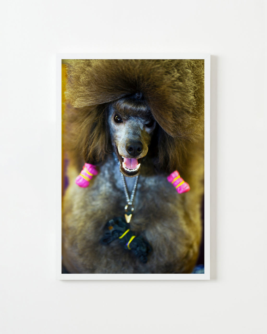 Photography by Dolly Faibyshev titled "Winking Poodle" - 1.