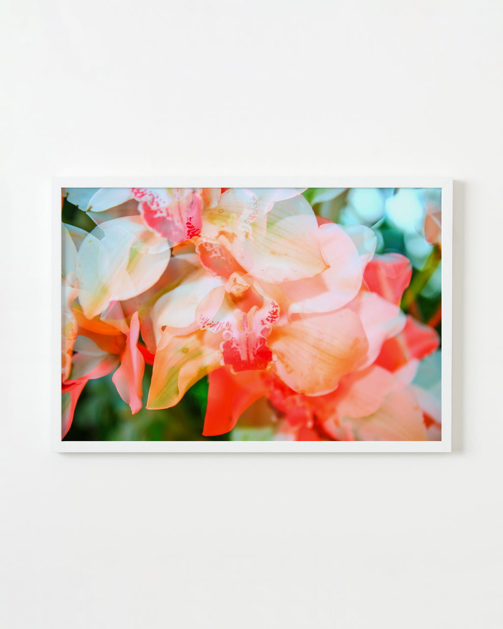 Photography by Dolly Faibyshev titled "Counting Flowers on the Wall" - 1.