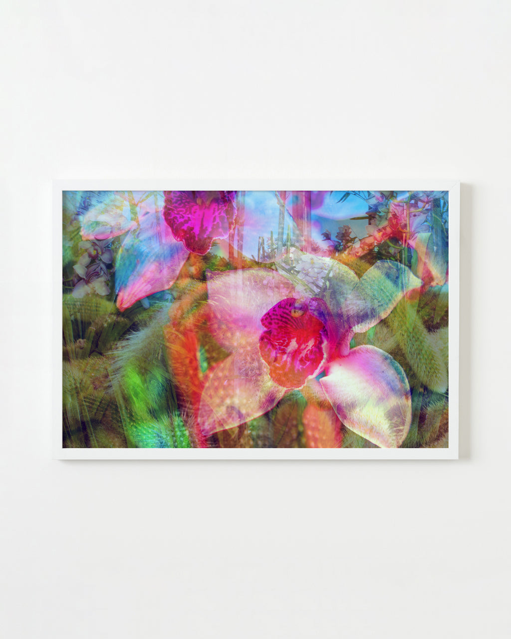 Photography by Dolly Faibyshev titled "I Dream of Gardens in the Desert Sand" - 1.