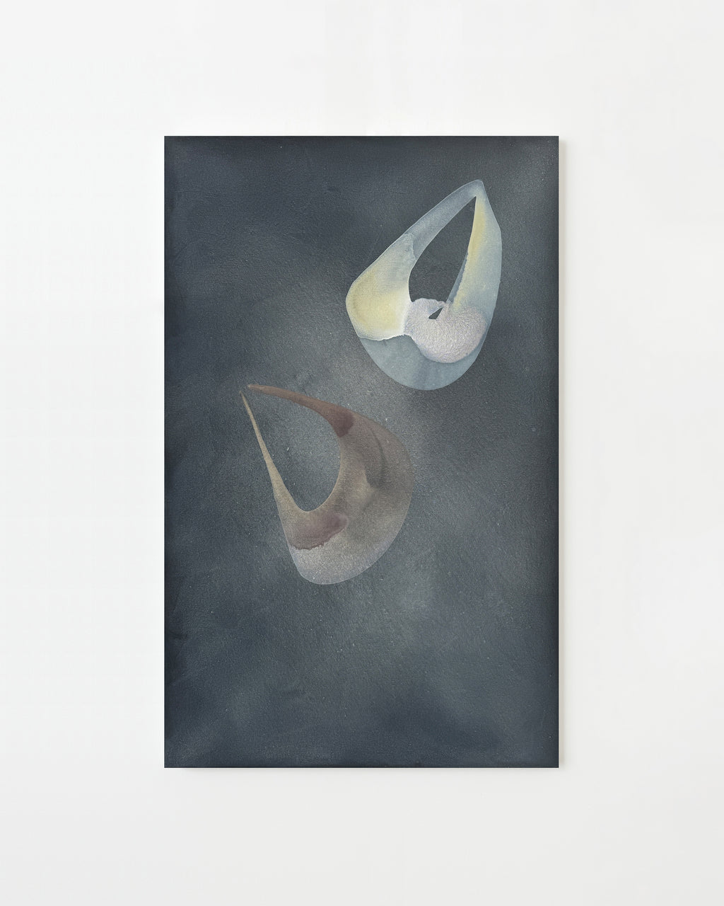 Descend to Ascend - Laura Naples