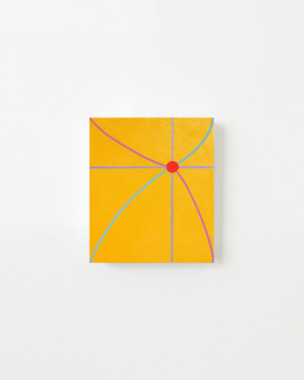 The Peacock Spider Boogies To 70s Disco Funk - Evi O.