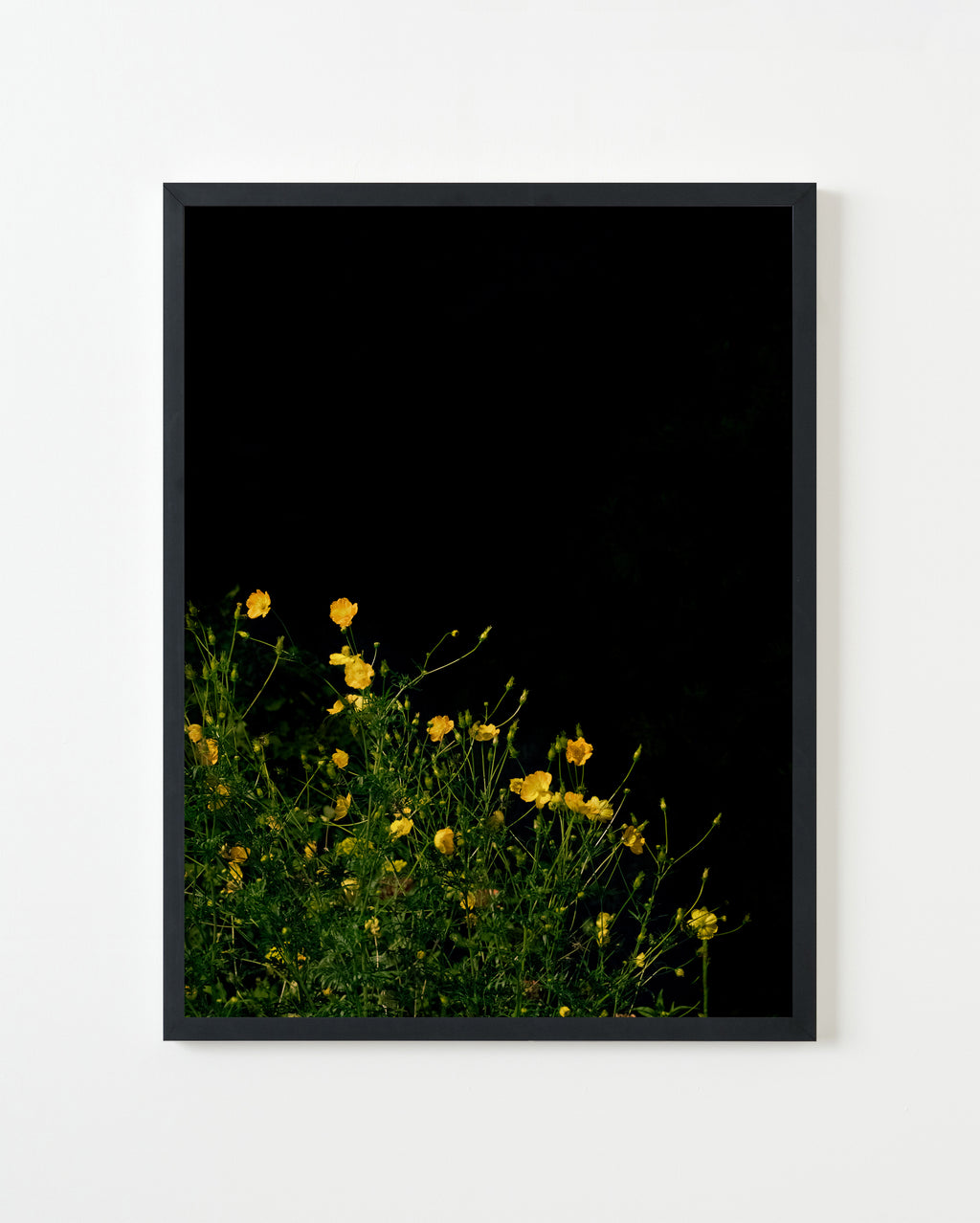 Photography by Anna Beeke titled "Midnight in the Garden #32" - 1.