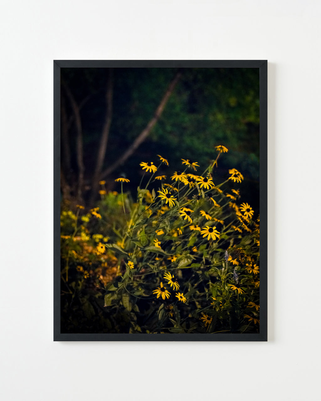 Photography by Anna Beeke titled "Midnight in the Garden #46" - 1.