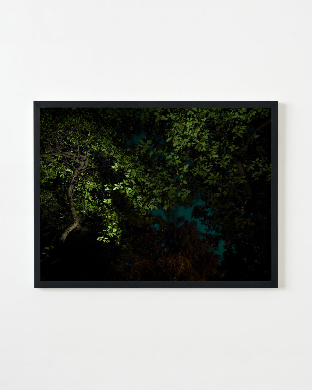 Photography by Anna Beeke titled "Midnight in the Garden #1" - 1.